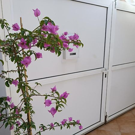 Apartman Dani Zadar Dış mekan fotoğraf