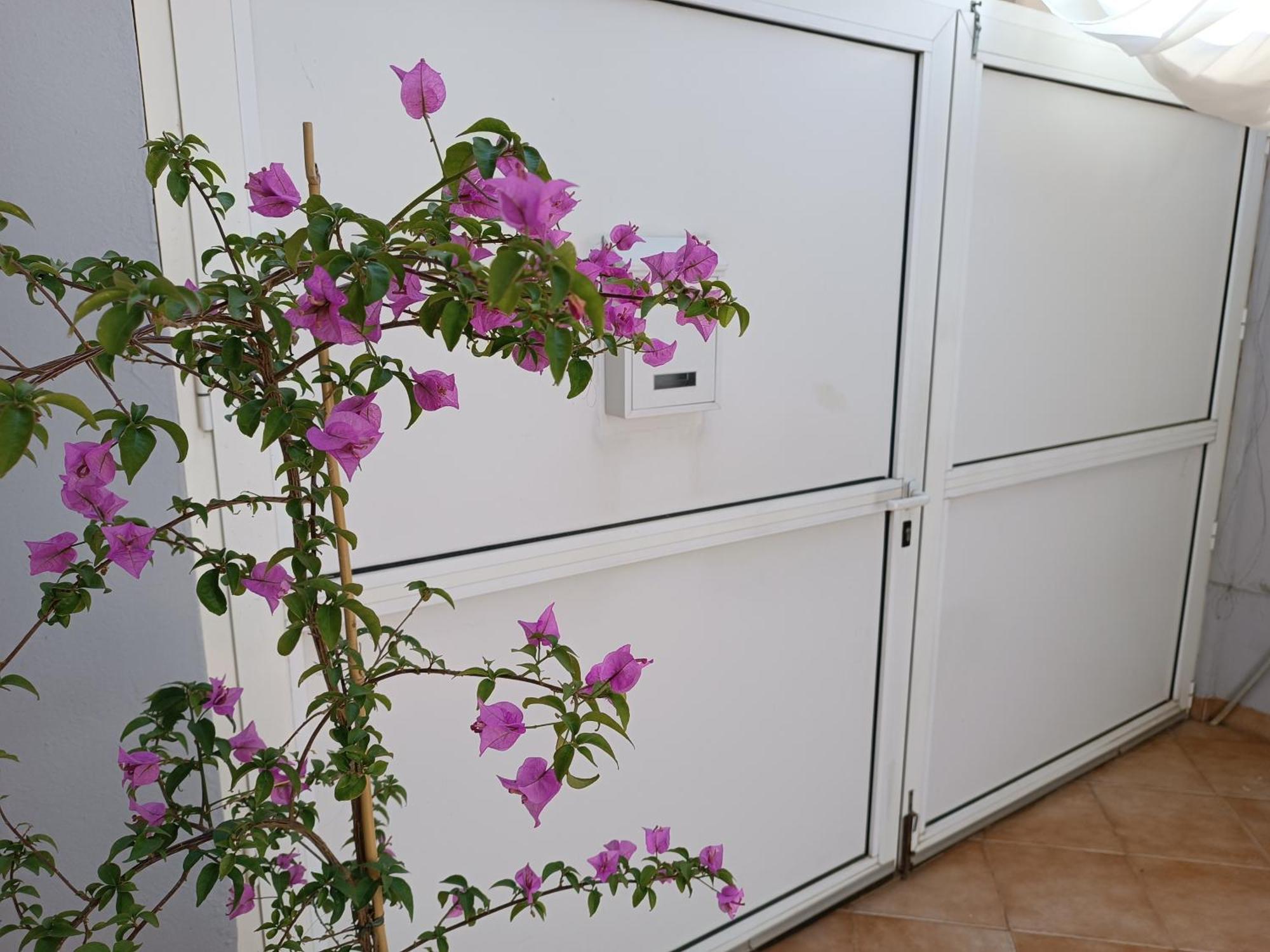Apartman Dani Zadar Dış mekan fotoğraf
